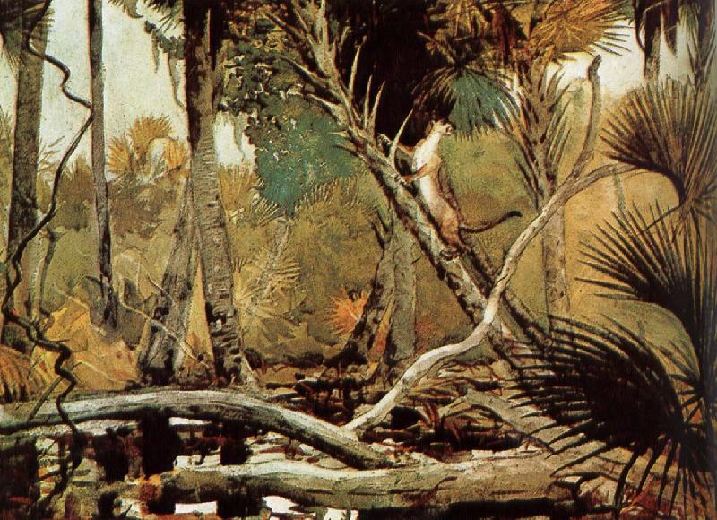 Winslow Homer Florida Jungle oil painting image